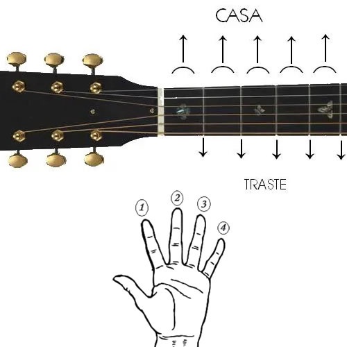 Acordes de violão para iniciantes - Imagem 2